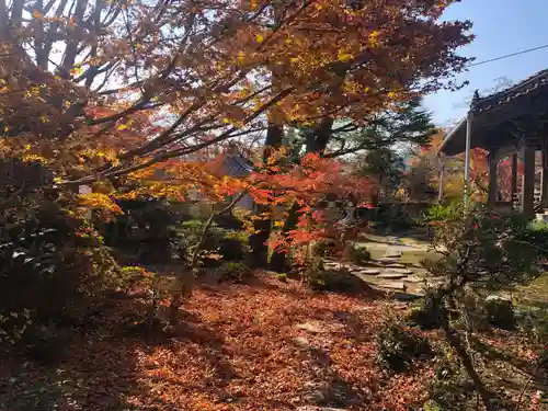 木舟山　順教寺の自然