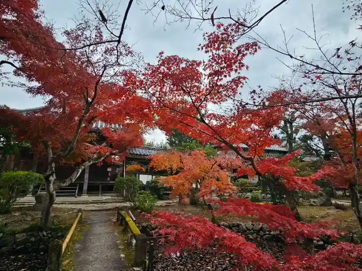 新薬師寺(奈良県)