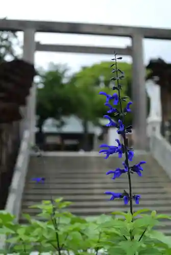 伊勢山皇大神宮(神奈川県)