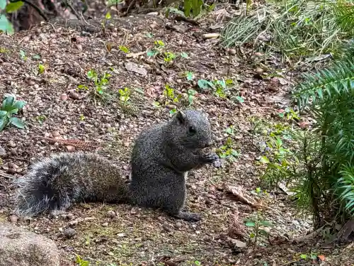 円覚寺の{uncategorized: "未分類", other: "その他", undefined: "問題あり", building: "その他建物", grave: "お墓", sacred_gate: "鳥居", guardian: "狛犬", statue: "像", buddha: "仏像", history: "歴史", nature: "自然", garden: "庭園", animal: "動物", pagoda: "塔", temizu: "手水舎", mountain_gate: "山門・神門", sanctuary: "本殿・本堂", subordinate: "末社・摂社", art: "芸術", scenery: "景色", jizo: "地蔵", ema: "絵馬", goshuin: "御朱印", omikuji: "おみくじ", items: "授与品その他", amulet: "お守り", goshuincho: "御朱印帳", eats: "食事", festival: "お祭り", votive_dance: "神楽", shichigosan: "七五三参", wedding: "結婚式", experience: "体験その他", initially: "初詣", around: "周辺", anti_infection: "感染症対策"}