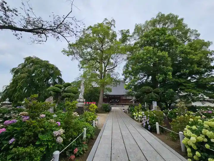 能護寺(埼玉県)