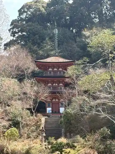 浄瑠璃寺(京都府)