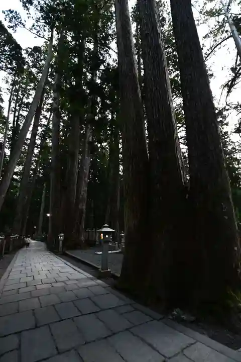 高野山金剛峯寺奥の院(和歌山県)