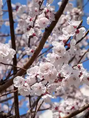 池尻稲荷神社(東京都)
