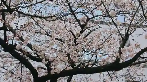 芝大神宮の自然