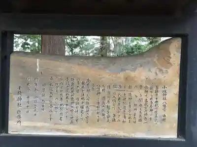 小坂神社の歴史
