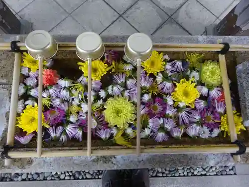 日蓮宗　浄運寺の手水舎