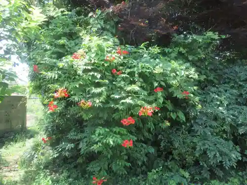 菊水寺(埼玉県)