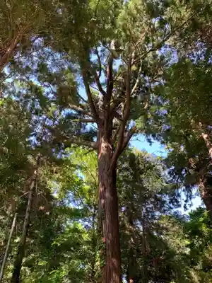 日枝神社(千葉県)