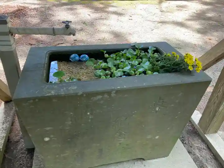 米川八幡神社の手水舎