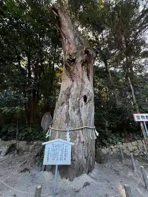 大山祇神社(愛媛県)