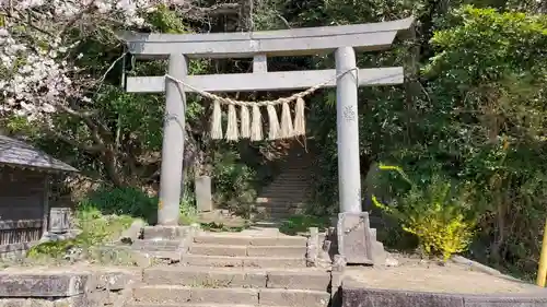 浅間神社の鳥居