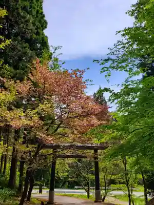土津神社|こどもと出世の神さまの鳥居
