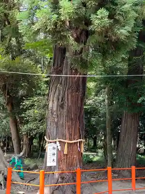 息栖神社(茨城県)