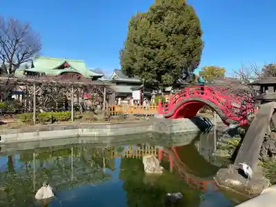 亀戸天神社(東京都)