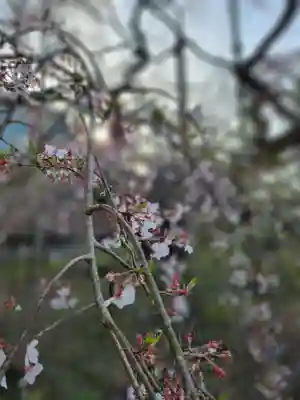 般若院(茨城県)