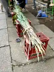 三芳野神社(埼玉県)