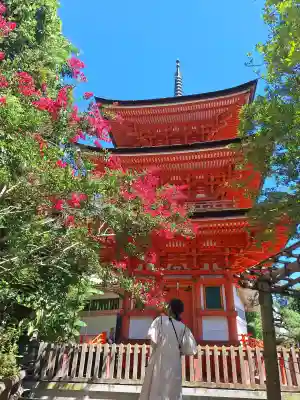 竹生島神社（都久夫須麻神社）の{uncategorized: "未分類", other: "その他", undefined: "問題あり", building: "その他建物", grave: "お墓", sacred_gate: "鳥居", guardian: "狛犬", statue: "像", buddha: "仏像", history: "歴史", nature: "自然", garden: "庭園", animal: "動物", pagoda: "塔", temizu: "手水舎", mountain_gate: "山門・神門", sanctuary: "本殿・本堂", subordinate: "末社・摂社", art: "芸術", scenery: "景色", jizo: "地蔵", ema: "絵馬", goshuin: "御朱印", omikuji: "おみくじ", items: "授与品その他", amulet: "お守り", goshuincho: "御朱印帳", eats: "食事", festival: "お祭り", votive_dance: "神楽", shichigosan: "七五三参", wedding: "結婚式", experience: "体験その他", initially: "初詣", around: "周辺", anti_infection: "感染症対策"}