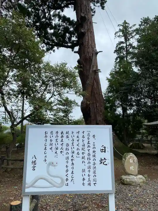 八幡宮(茨城県)