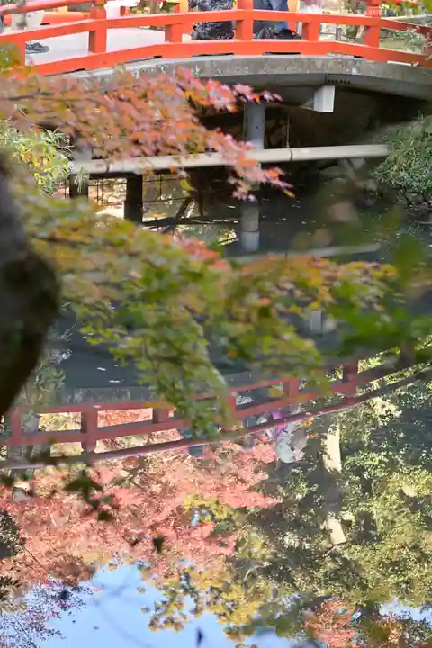 鶴岡八幡宮(神奈川県)