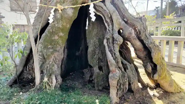 高城神社(埼玉県)
