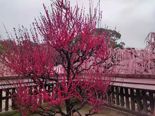 結城神社の庭園