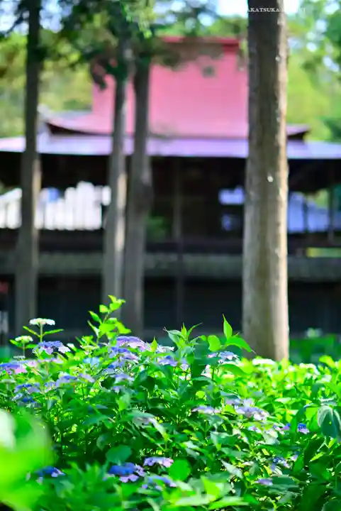 指扇氷川神社(埼玉県)