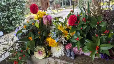 勝林寺(京都府)