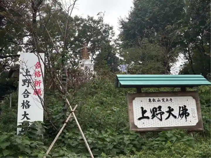 上野大佛(東京都)