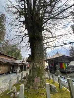 正法寺(滋賀県)