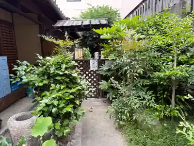 本光寺(京都府)