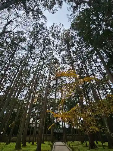 唐招提寺(奈良県)