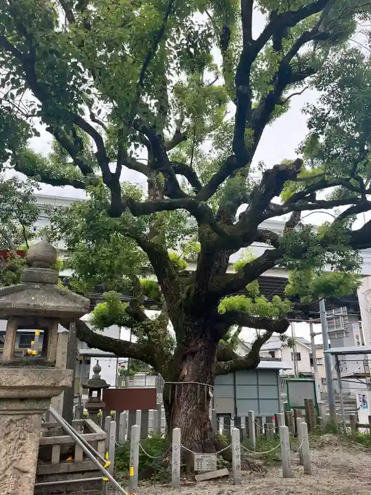 石津神社(大阪府)