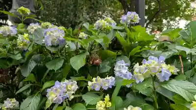 大休寺の自然