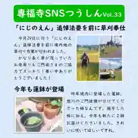 雨竜 専福寺(北海道)