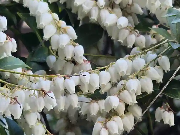 金熊寺(大阪府)