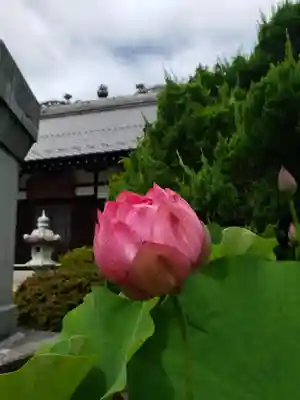 長善寺(東京都)