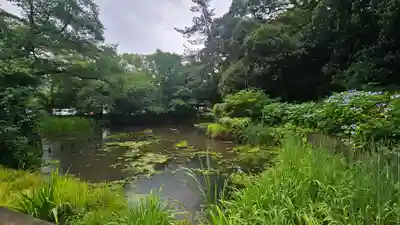 出雲大社(島根県)