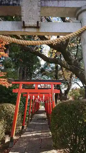 尾曳稲荷神社の鳥居