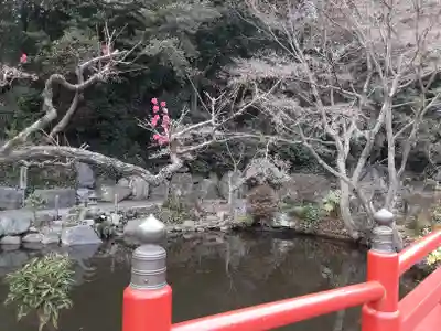 貫井神社(東京都)