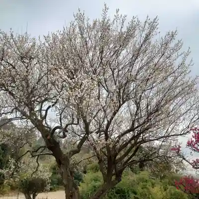 明鏡山龍雲寺(栃木県)
