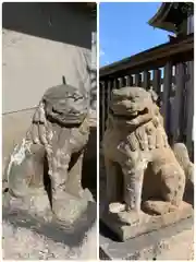 舞子六神社の狛犬