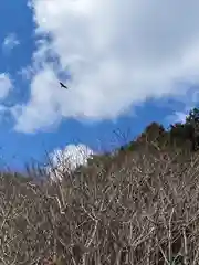 小宅神社の自然