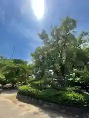 屯倉神社(大阪府)