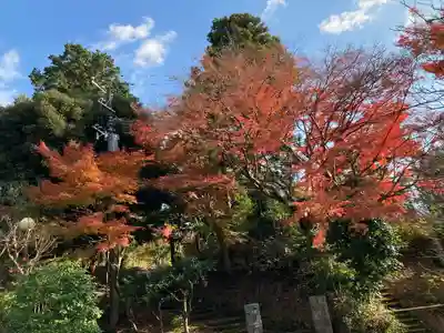 浄妙寺(神奈川県)