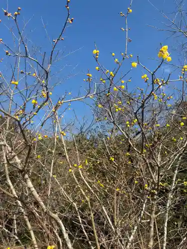 天伯山神社の{uncategorized: "未分類", other: "その他", undefined: "問題あり", building: "その他建物", grave: "お墓", sacred_gate: "鳥居", guardian: "狛犬", statue: "像", buddha: "仏像", history: "歴史", nature: "自然", garden: "庭園", animal: "動物", pagoda: "塔", temizu: "手水舎", mountain_gate: "山門・神門", sanctuary: "本殿・本堂", subordinate: "末社・摂社", art: "芸術", scenery: "景色", jizo: "地蔵", ema: "絵馬", goshuin: "御朱印", omikuji: "おみくじ", items: "授与品その他", amulet: "お守り", goshuincho: "御朱印帳", eats: "食事", festival: "お祭り", votive_dance: "神楽", shichigosan: "七五三参", wedding: "結婚式", experience: "体験その他", initially: "初詣", around: "周辺", anti_infection: "感染症対策"}