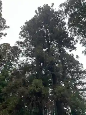 大宮温泉神社(栃木県)