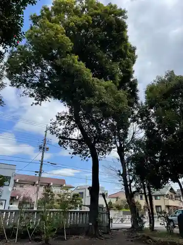 虎狛神社の自然