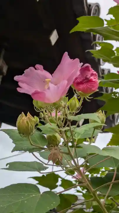 後白河院御聖蹟 法住寺(京都府)