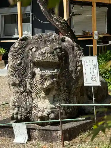 京都乃木神社の狛犬